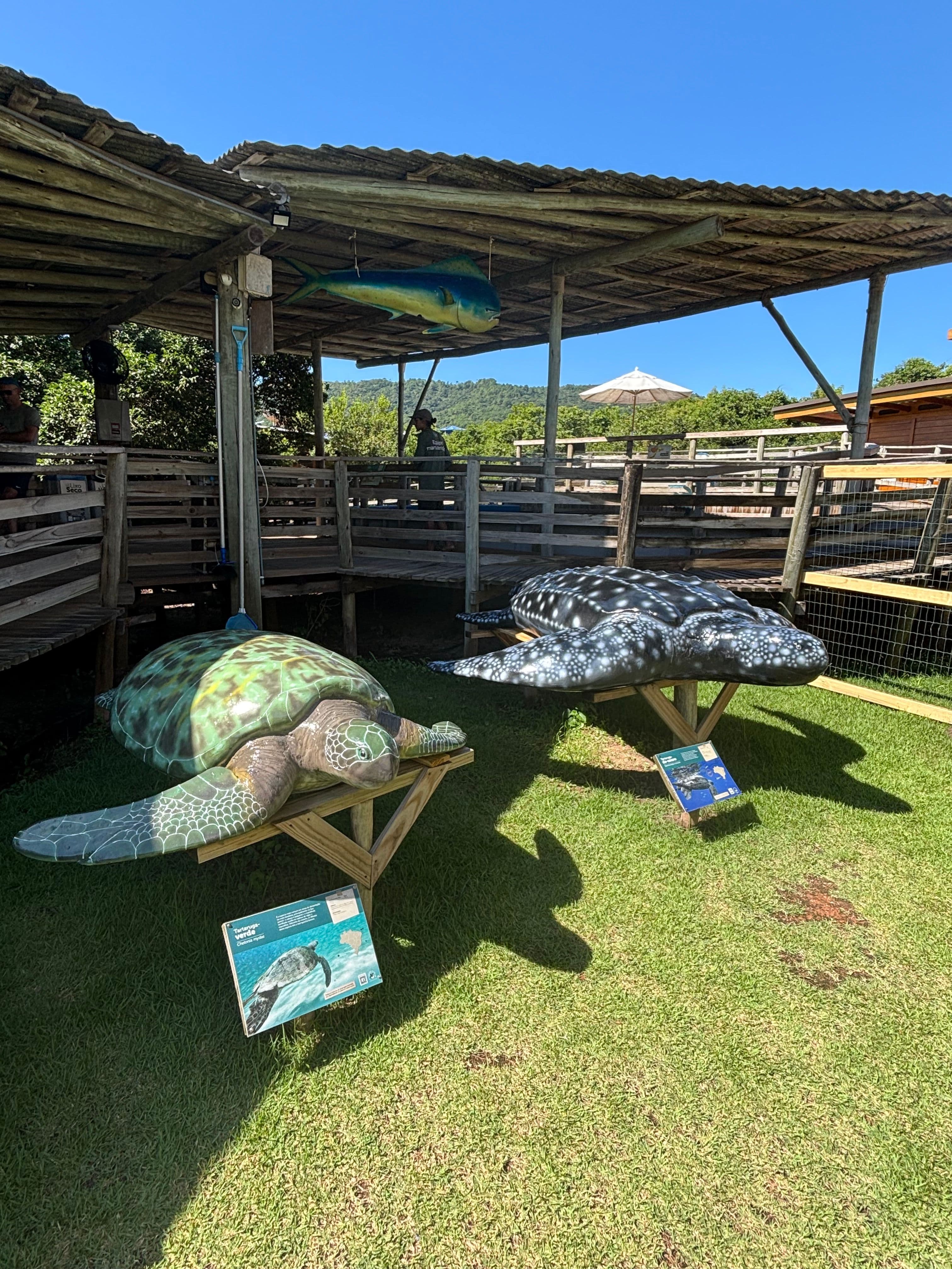 Giant turtle structures at the Projeto Tamar museum.