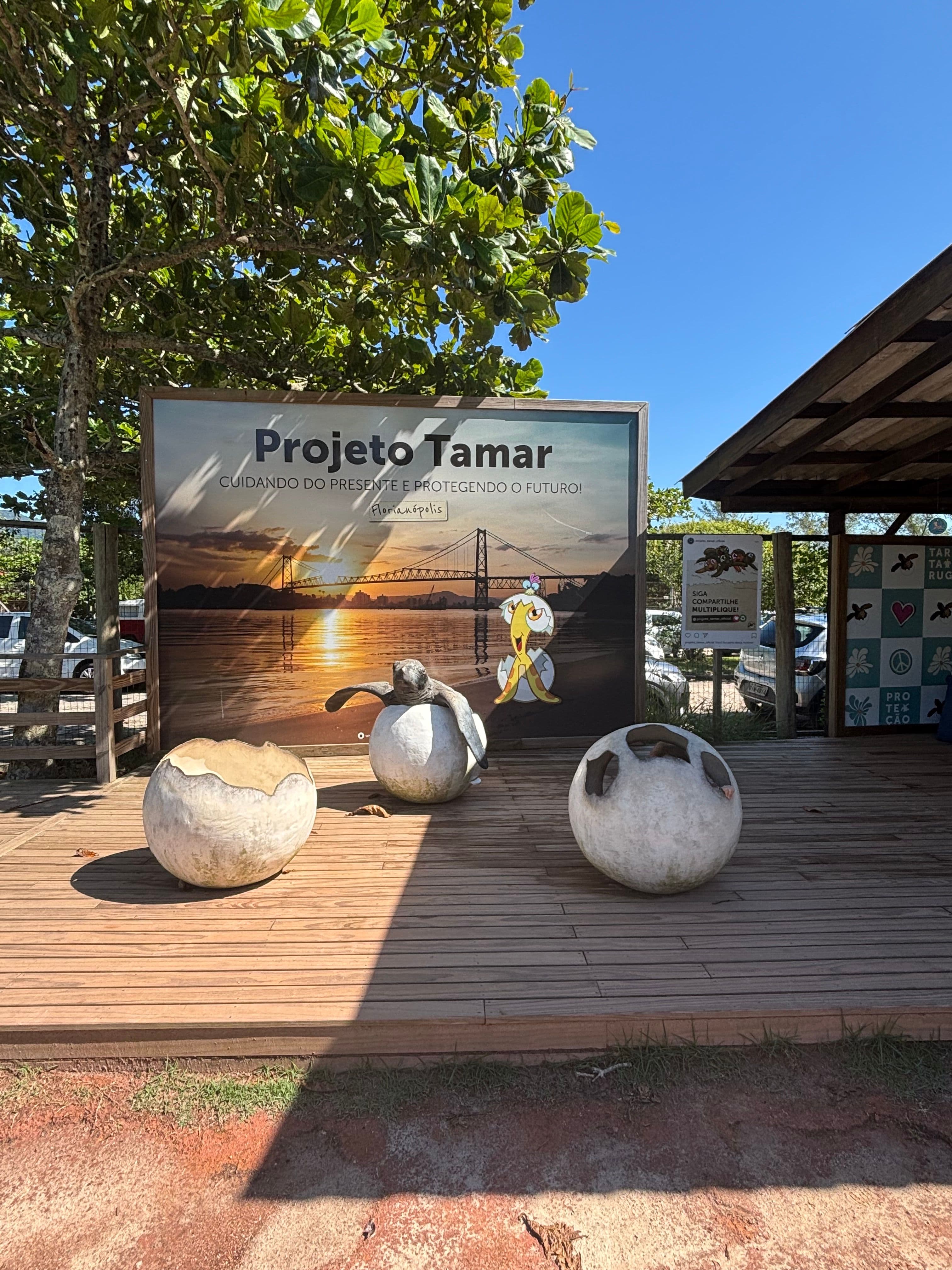 Projeto Tamar in Florianópolis, featuring a sea turtle sculpture and educational displays dedicated to marine conservation